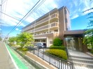 ヴェルドミールカミロクの外観