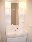 洗面 パンプキンキャッスル