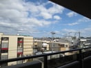 室内からの展望 楓コ－ト