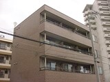 コ-トリヴィエ-ル