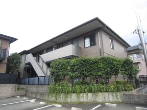 サザンプラミ－