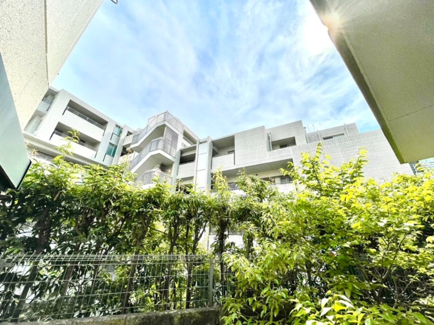 室内からの展望 ﾘﾌﾞ大谷