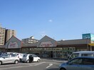 デイリーカナート(電気量販店/ホームセンター)まで450m セファミ御影