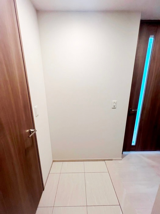 玄関 プレミストタワー靱本町（2211）