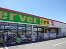 サーバー(ドラッグストア)まで170m パル渕ノ上