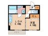 ウィステリア柳水 1LDKの間取り