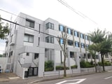 アベニューエンジュ