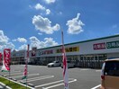 スギ薬局東正雀店(ドラッグストア)まで850m コーポ三島