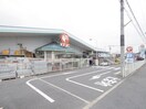 コメリ(電気量販店/ホームセンター)まで340m グランドフォレスト