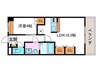 ポラリス 1LDKの間取り