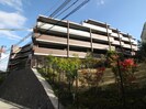 ﾗｲｵﾝｽﾞ甲陽園ｸﾞﾗﾝｸﾞﾚｲﾄﾞ(308)の外観