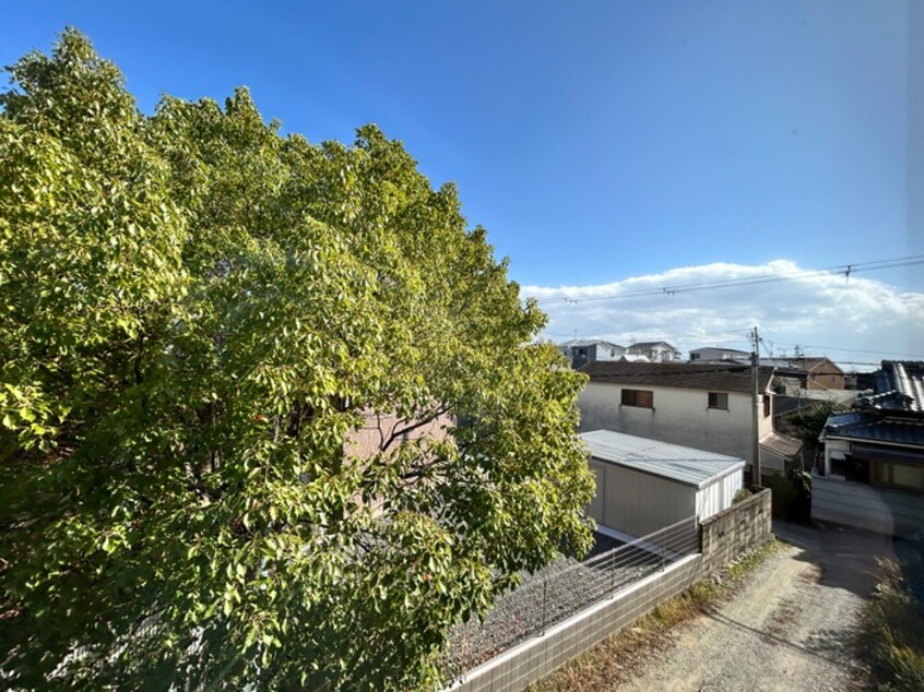 室内からの展望 サンリーフⅡ-B号地