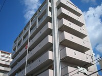 パラドリ－ムＩＢ