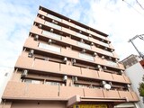 マンスフィールド桃谷