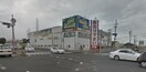 ハードオフ大阪泉南店(ビデオ/DVD)まで750m サンデュー和泉砂川