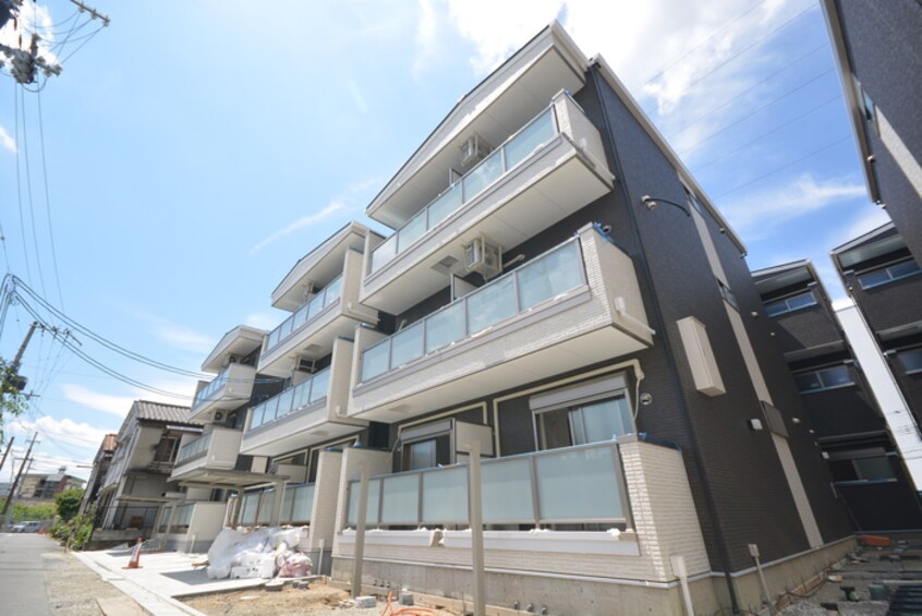 その他 F asecia rosa