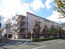 イズミヤ高野店(スーパー)まで400m シャトー高野