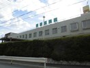 東香里病院(病院)まで100m 水野ビル