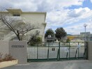 春日小学校(小学校)まで550m 水野ビル
