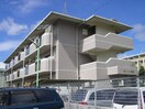 外観写真 サニ－ハイツ緑地