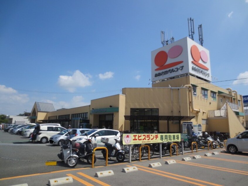 おおさかﾊﾟﾙコープ長尾店(スーパー)まで210m MAYUMIハウス202号館長尾元町