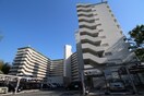 周辺環境 アパルトマン北千里(404)