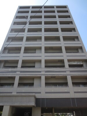 ｴｸｾﾚﾝﾄＯＢＰﾊﾞﾝｸｽ（203）