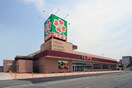 ライフ太平寺店(スーパー)まで425m Gran　QUALIOR　北巽
