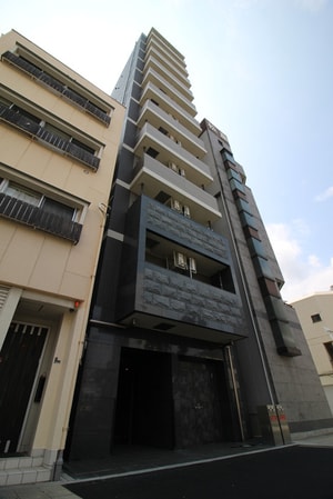 Aki　soleil　honden