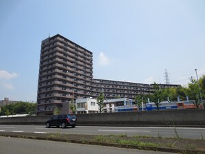 ﾊﾟｲﾝﾌｨｰﾙﾄﾞ緑地公園（113）