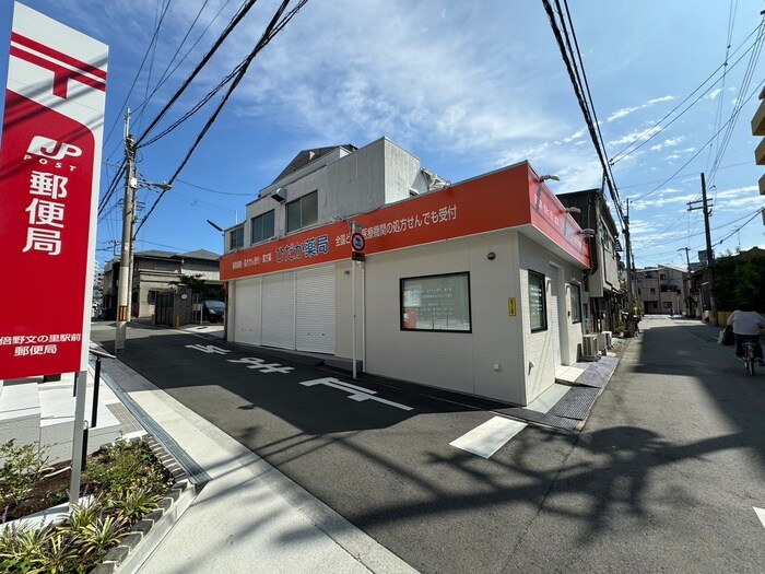 ひだか薬局(ドラッグストア)まで130m グランジュール文の里