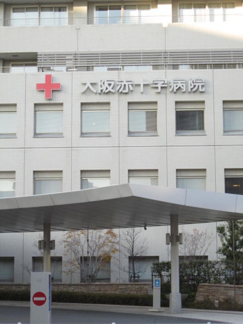 大阪赤十字病院(病院)まで1100m PALMIZIO鶴橋