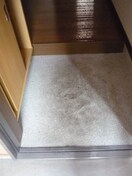 玄関 フロイデ二番館