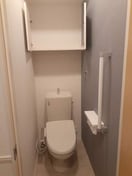 トイレ ルミライズ