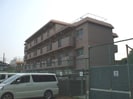 アメリアの外観