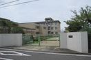 沢池小学校(小学校)まで450m ヴィルヌーブ サンティーエ