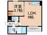 ラコントレ 1LDKの間取り