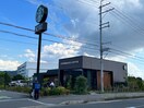 スターバックスコーヒー 東香里店(カフェ)まで1310m ディアコルモⅡ