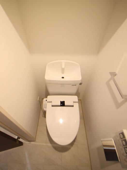 トイレ Ｐｉｎｅ Ｆｌｏｕｒｉｓｈ