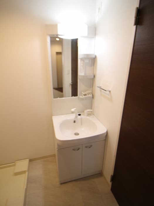 洗面 Ｐｉｎｅ Ｆｌｏｕｒｉｓｈ