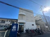 シロハイヌ