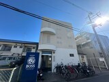シロハイヌ