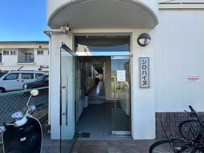 エントランス部分 シロハイヌ