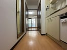 廊下 シロハイヌ