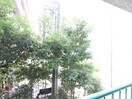室内からの展望 エバ－グリ－ン新大阪