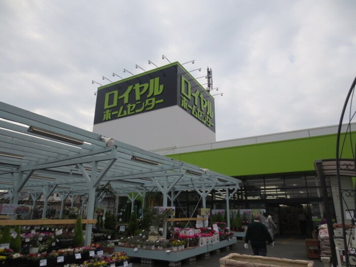 ロイヤルホームセンター(電気量販店/ホームセンター)まで1500m ヴィラパラディス