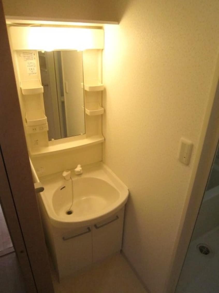 洗面 サウス・アルカディア