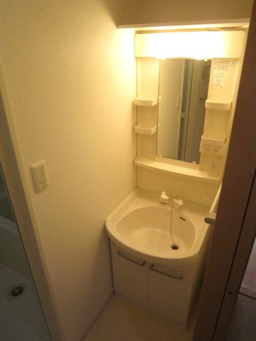 洗面 サウス・アルカディア