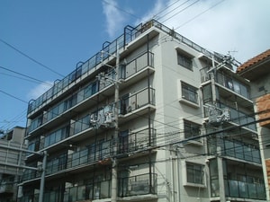 ﾚｯｸｽﾏﾝｼｮﾝ清風荘(302)