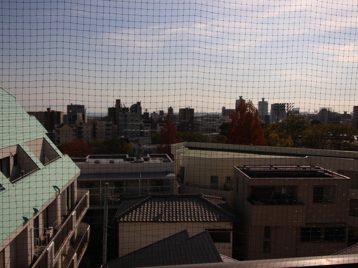 室内からの展望 ジークレフ王子